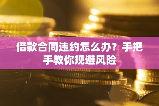 武汉借款合同违约怎么办？手把手教你规避风险