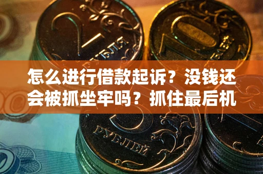 武汉怎么进行借款起诉？没钱还会被抓坐牢吗？抓住最后机会！