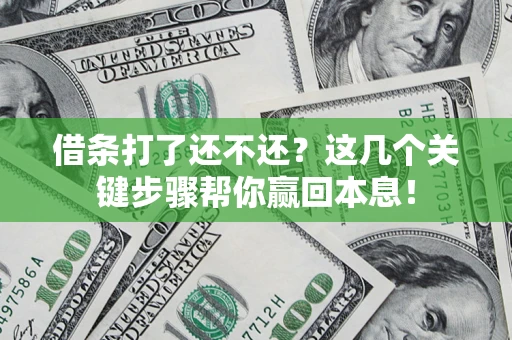 武汉借条打了还不还？这几个关键步骤帮你赢回本息！