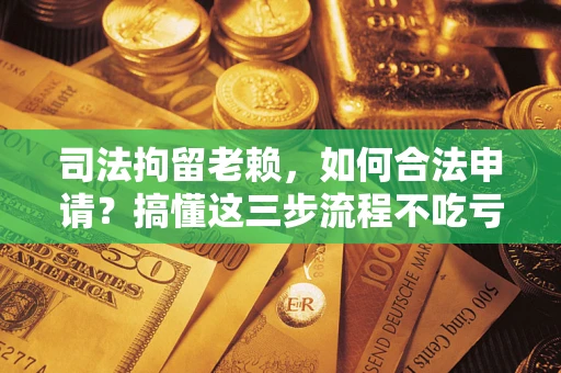 武汉司法拘留老赖，如何合法申请？搞懂这三步流程不吃亏！