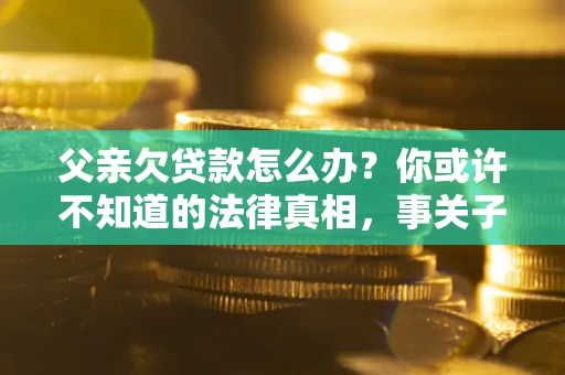 武汉父亲欠贷款怎么办？你或许不知道的法律真相，事关子女未来