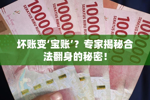 武汉坏账变‘宝账’？专家揭秘合法翻身的秘密！