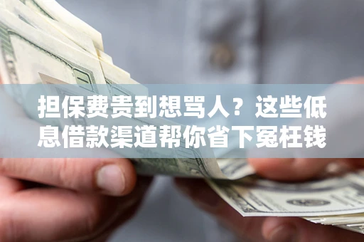 武汉担保费贵到想骂人？这些低息借款渠道帮你省下冤枉钱