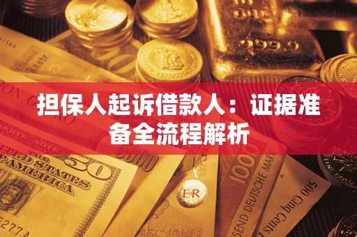 武汉担保人起诉借款人：证据准备全流程解析