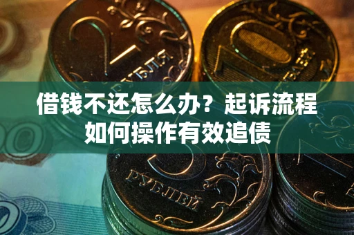 武汉借钱不还怎么办？起诉流程如何操作有效追债