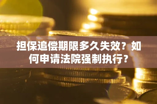 武汉担保追偿期限多久失效？如何申请法院强制执行？