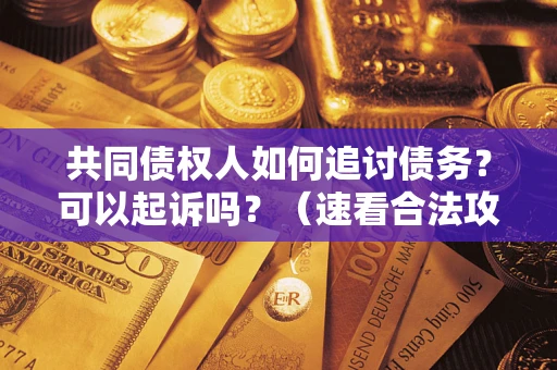 武汉共同债权人如何追讨债务？可以起诉吗？（速看合法攻略）