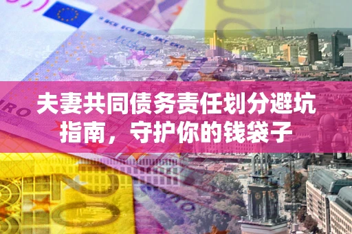武汉夫妻共同债务责任划分避坑指南，守护你的钱袋子