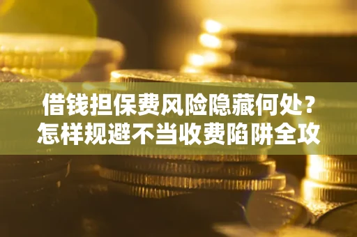 武汉借钱担保费风险隐藏何处？怎样规避不当收费陷阱全攻略！