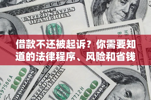 武汉借款不还被起诉？你需要知道的法律程序、风险和省钱技巧